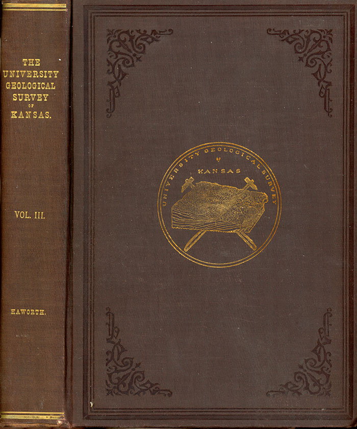 Cover of the book; red-brown cloth with gold imprinting of seal on cover and title on binding.