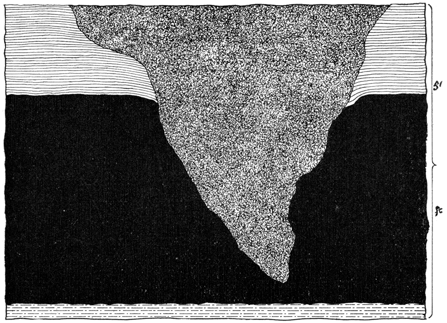 Horseback protruding into the coal from above.