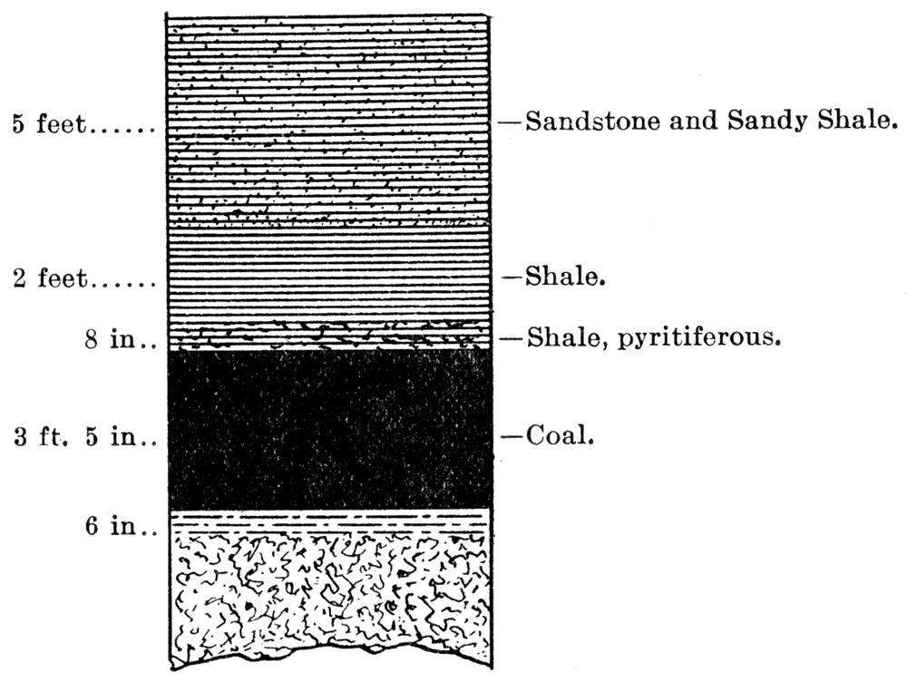 Section of Well South of Scammon.