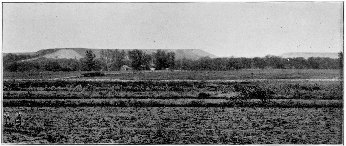 Black and white photo of surface exposure of Independence Limestone.