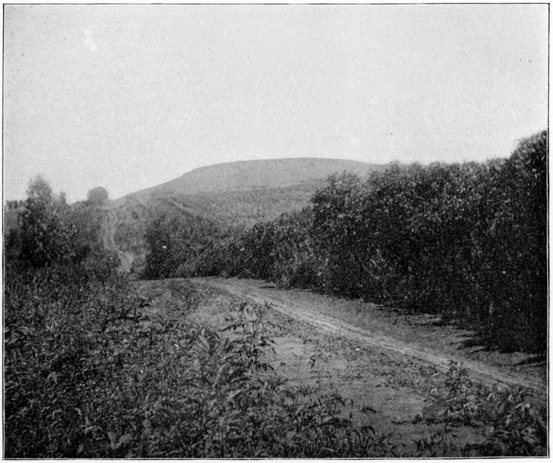 Black and white photo of hill capped with Independence Limestone.