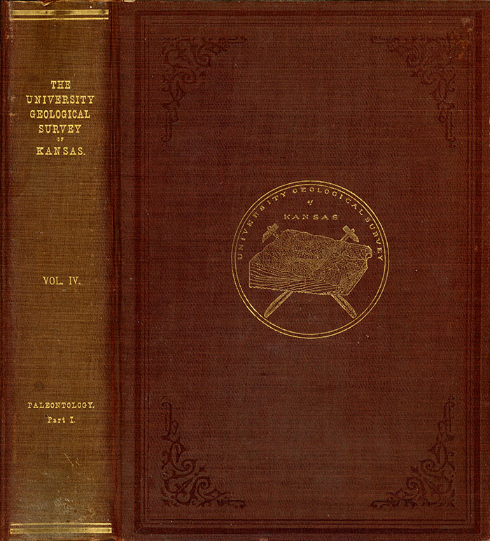Cover of the book; red-brown cloth with gold imprinting of seal on cover and title on binding.