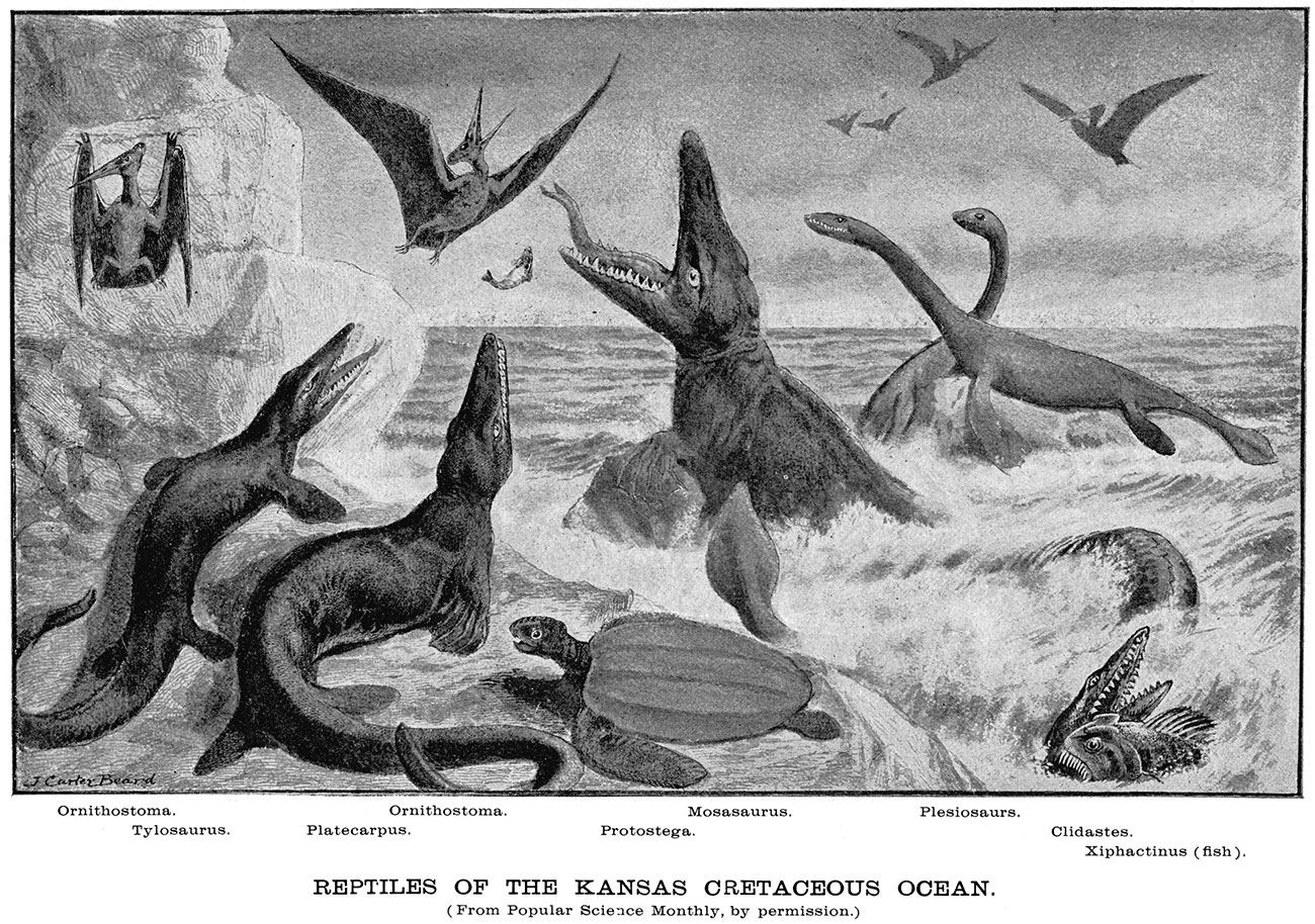 Frontispiece, Reptiles of the Kansas Cretaceous Ocean, from Popular Science Monthly, with permission.