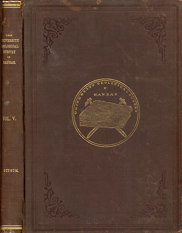 Cover of the book; red-brown cloth with gold imprinting of seal on cover and title on binding.