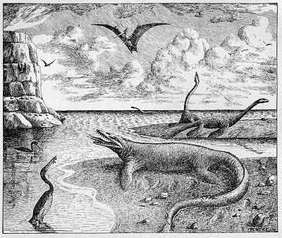 black and white drawing of Hesperonis, Pterodactyl, Mossasaur, and Plesiosaurs