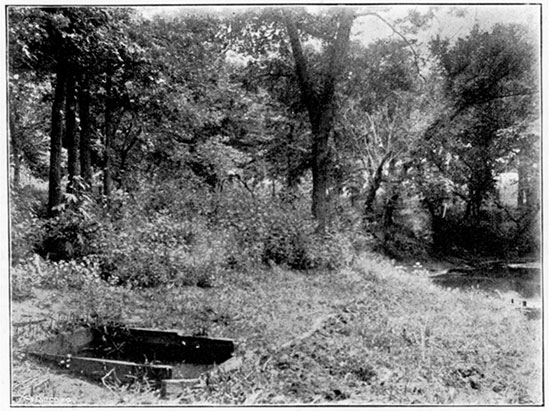 Black and white photo of Chingawassa Springs.