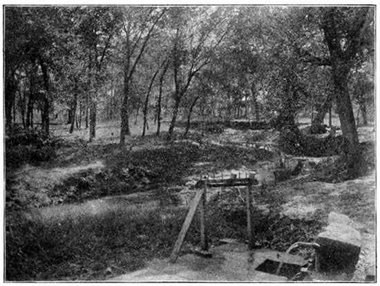 Black and white photo of Spring and Park, Sycamore Springs.