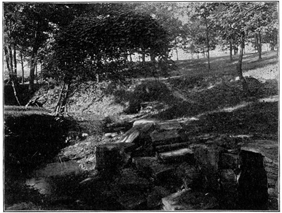 Black and white photo of Group of Springs, Bonner Springs.