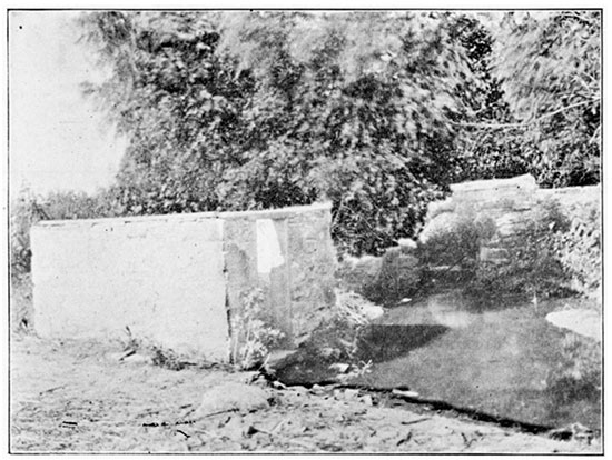 Black and white photo of Murphy's Springs.