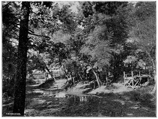 Black and white photo of Sylvan Springs, Ottawa.