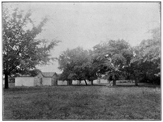 Black and white photo of Cottages, Arrington Springs.