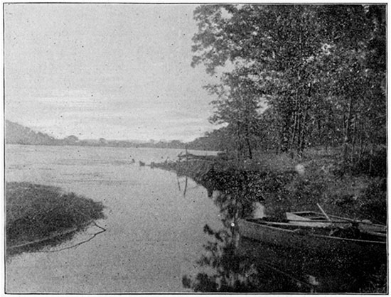 Black and white photo of View on Forest Lake, Bonner Springs.