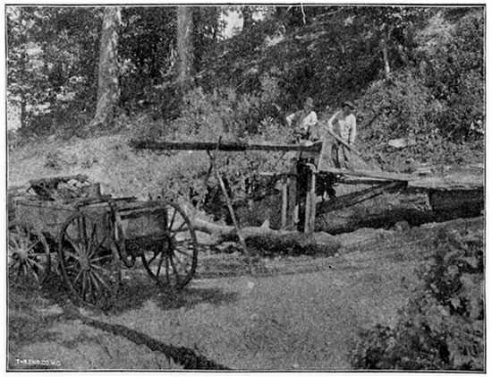 Black and white photo of Cave Spring, Galena.