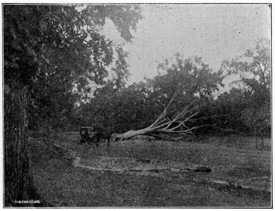 Black and white photo of Chico Spring, Galena.