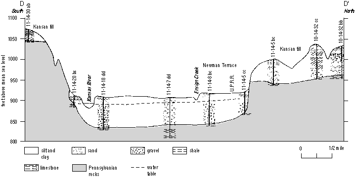 black and white cross section plot