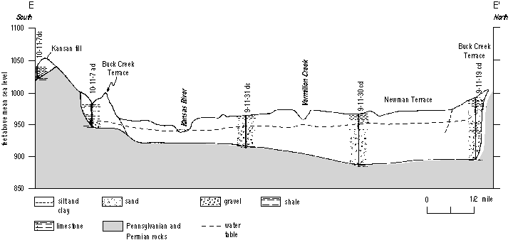 black and white cross section plot