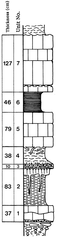 Units described in section text