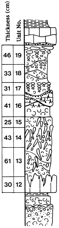 Units described in section text