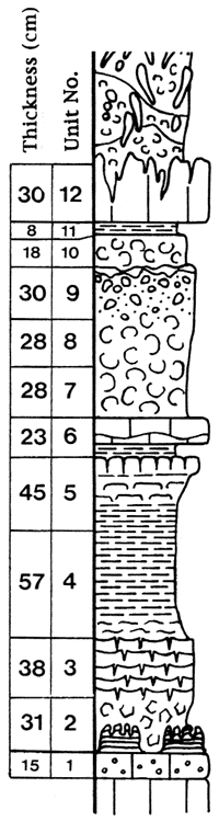 Units described in section text