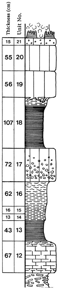 Units described in section text