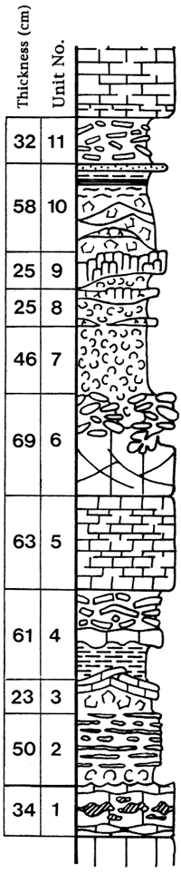 Units described in section text