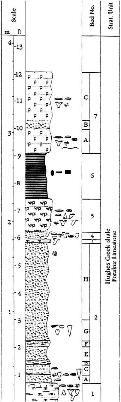 measured section described in text