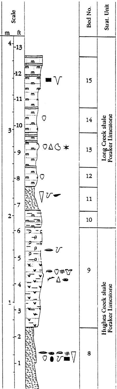 measured section described in text