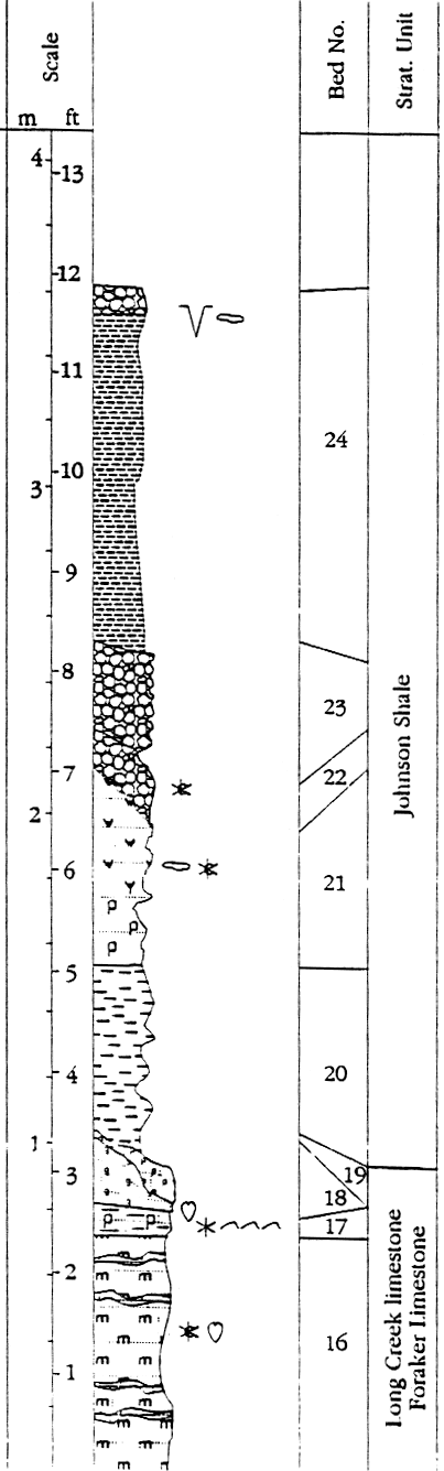 measured section described in text