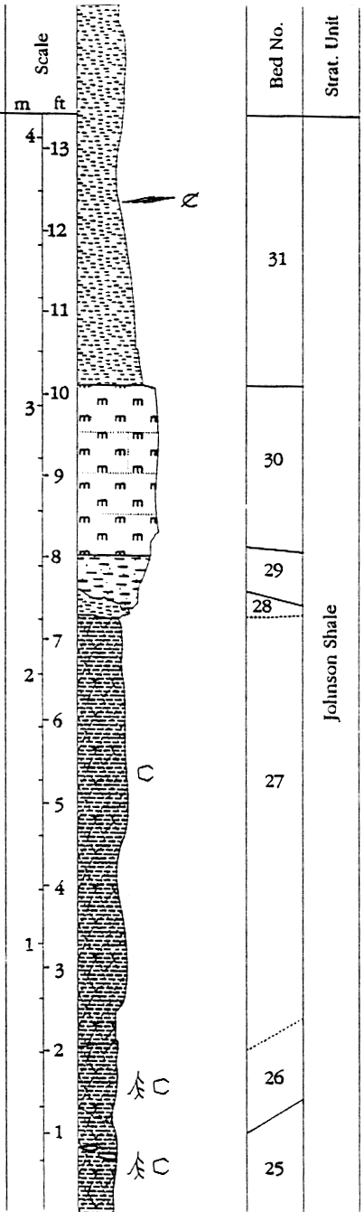 measured section described in text