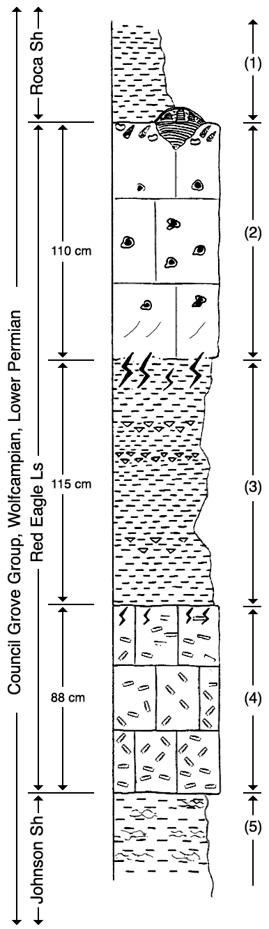 Measured section