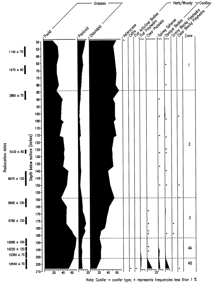 Phytoliths at the Sargent Site.