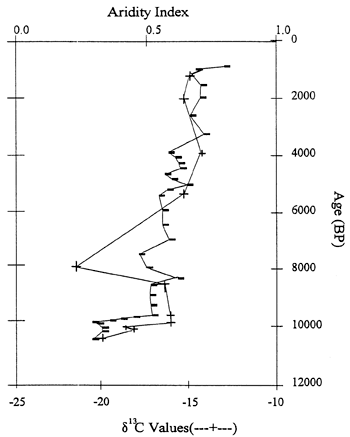 Aridity index and delta 13C curves for Sargent site.