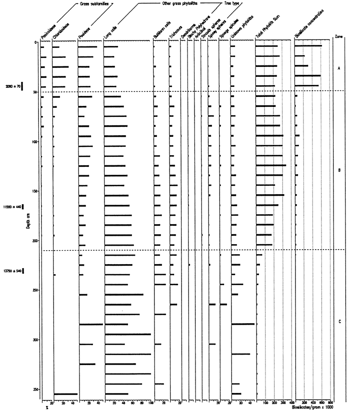 Phytolith Types and Sponge Spicules from the Manhattan Airport Site.