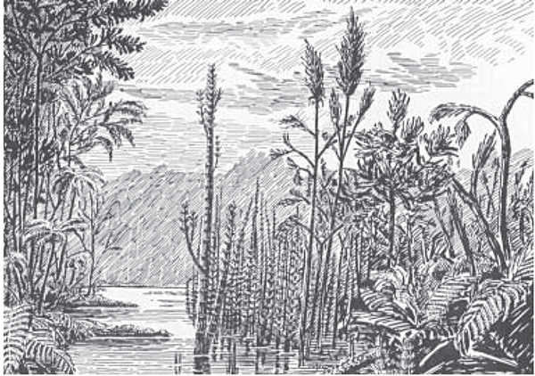 Restoration of the ecosystem associated with the time of the deposition of the Lawrence Formation.