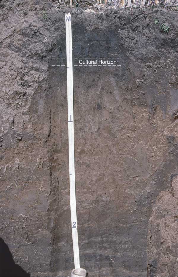 Trench is about 2.25 meters deep; material darker at top half meter; cultural horizon marked on photo at about .5 meter mark.