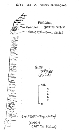 drawing of stratigraphic section