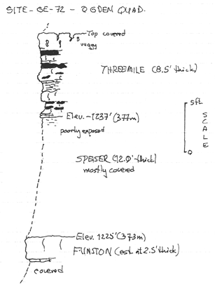 drawing of stratigraphic section