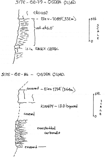 drawing of stratigraphic section