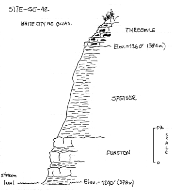 drawing of stratigraphic section