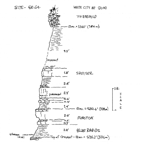 drawing of stratigraphic section