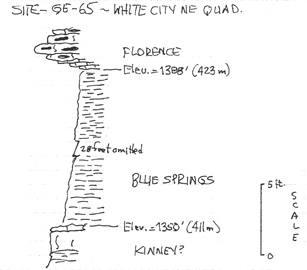 drawing of stratigraphic section