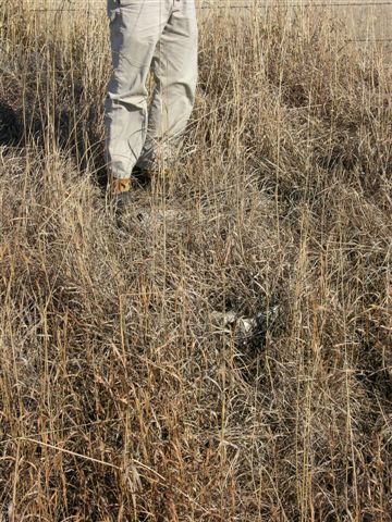 color photo of control point