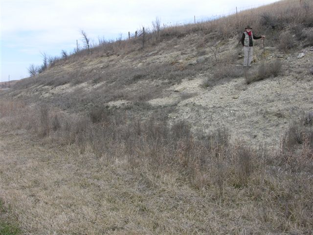 color photo of control point