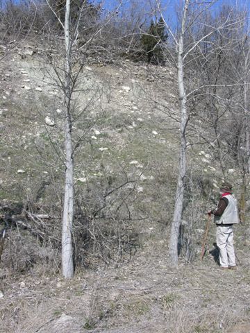 color photo of control point