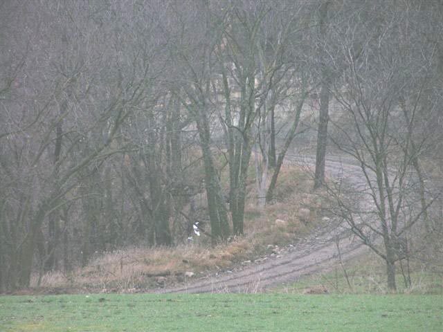 color photo of control point