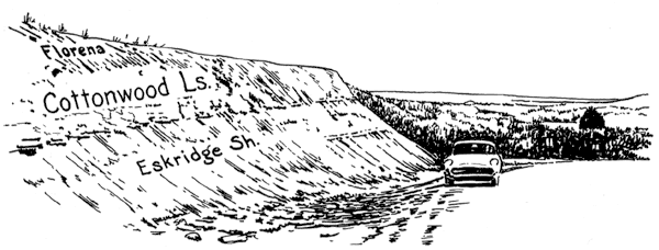 Pen and ink drawing of car parked next to roadcut; brush in background