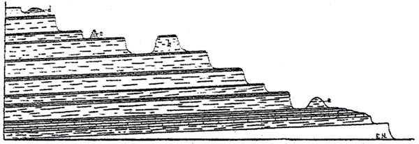 black and white drawing of cross section