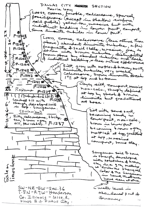 scan from a field notebook; measured section and descriptions