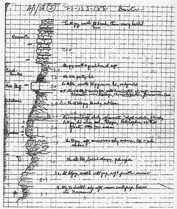 scan from field notebook showing measured section and description
