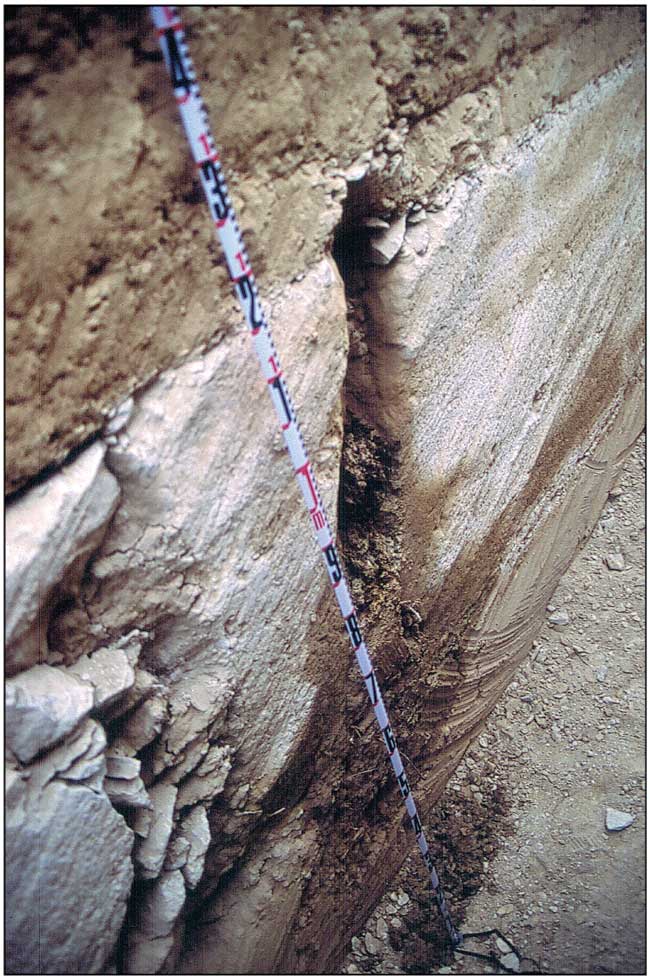 Color photo, close up of a vertical joint.